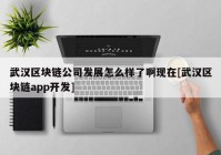 武汉区块链公司发展怎么样了啊现在[武汉区块链app开发]