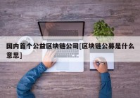 国内首个公益区块链公司[区块链公募是什么意思]